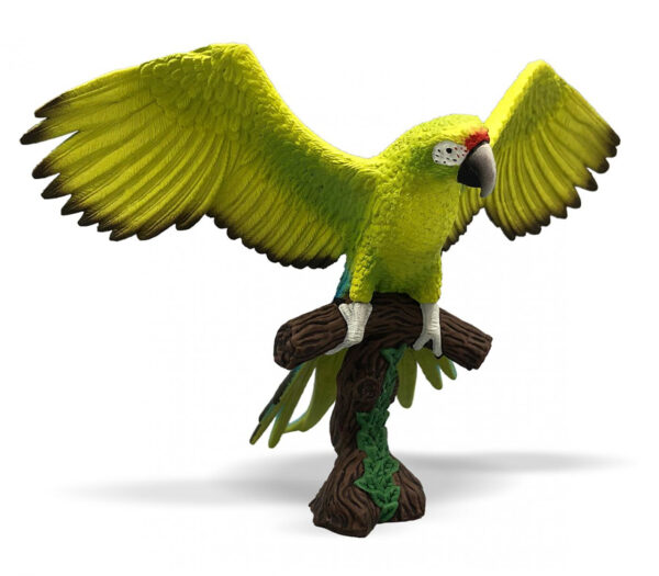 Papagal Macaw