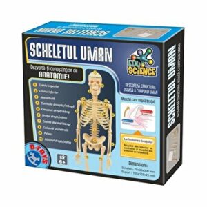 Joc Scheletul uman