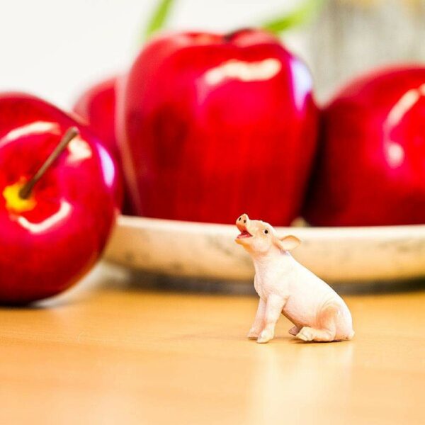 Figurina - Sitting Piglet | Safari - imagine 3