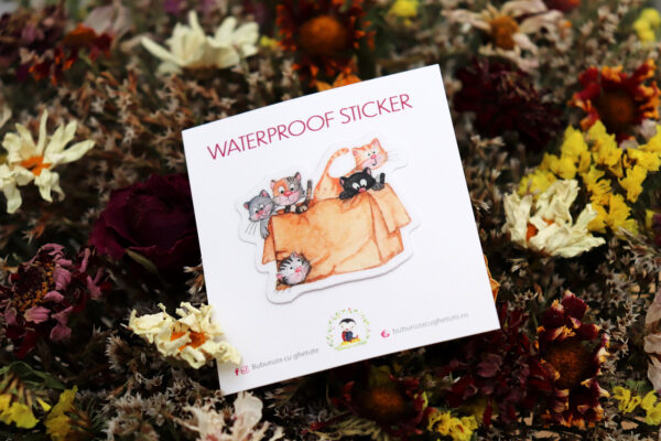 Sticker - Cats in a Box | Buburuza cu ghetute