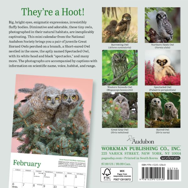 Calendar 2022 - Little Owls | Workman Publishing - imagine 13