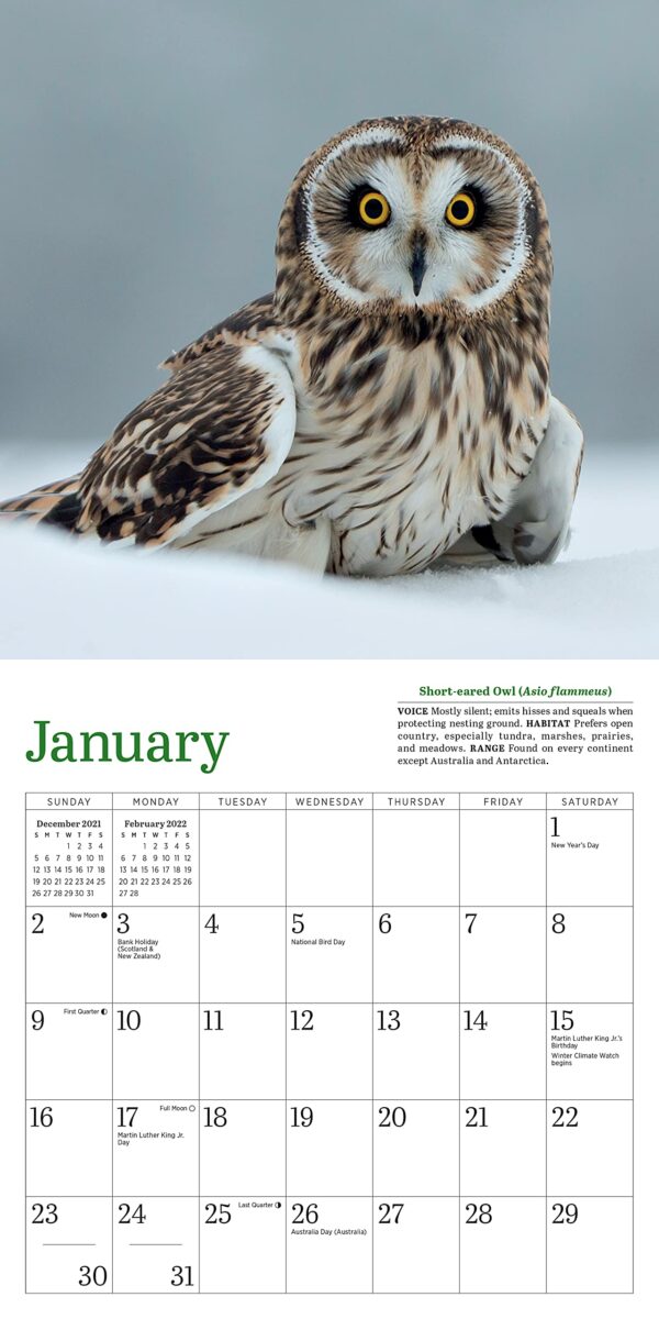 Calendar 2022 - Little Owls | Workman Publishing - imagine 12