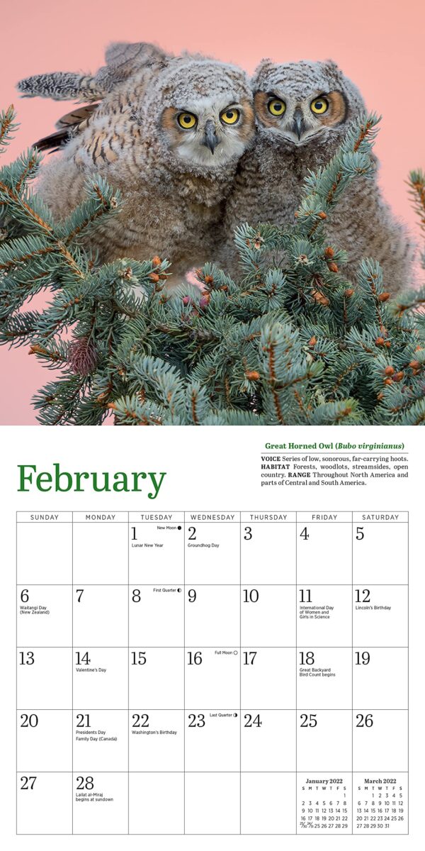 Calendar 2022 - Little Owls | Workman Publishing - imagine 11