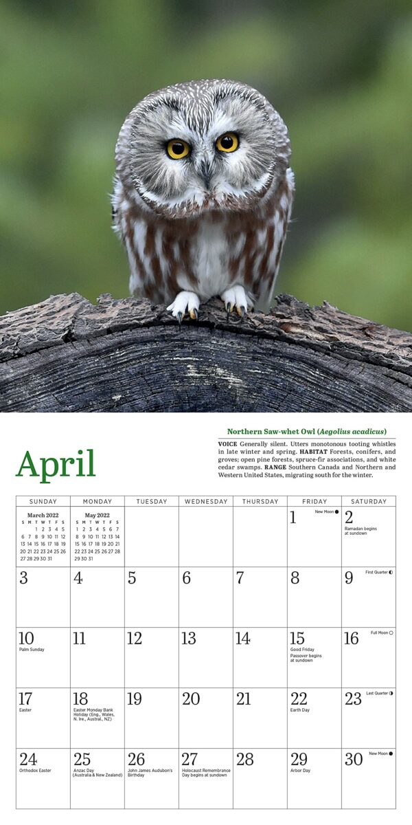 Calendar 2022 - Little Owls | Workman Publishing - imagine 9