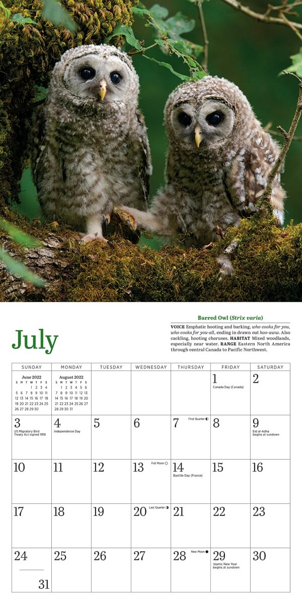 Calendar 2022 - Little Owls | Workman Publishing - imagine 6