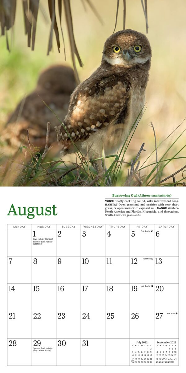 Calendar 2022 - Little Owls | Workman Publishing - imagine 5