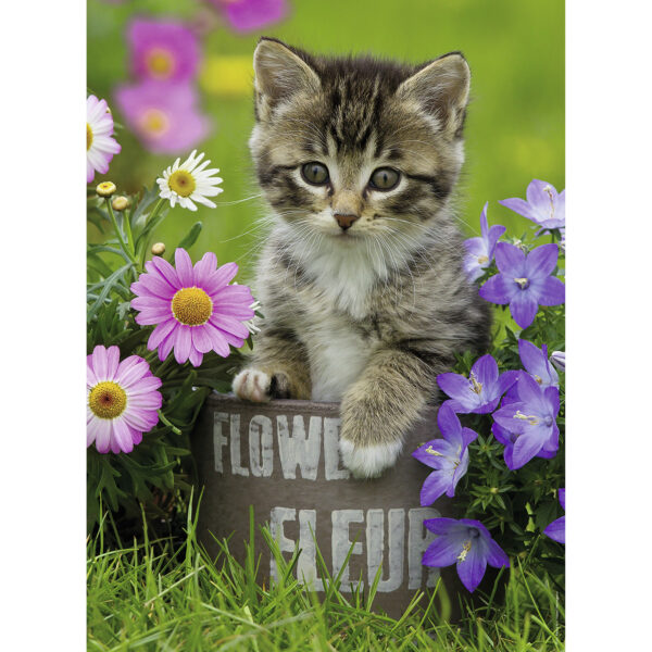 Puzzle pisicuta intre flori 100 piese ravensburger - imagine 3