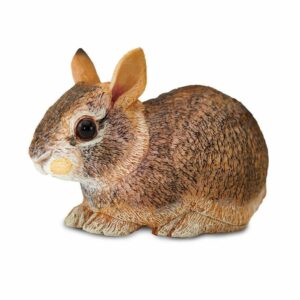 Figurina - Eastern Cottontail Rabbit Baby | Safari