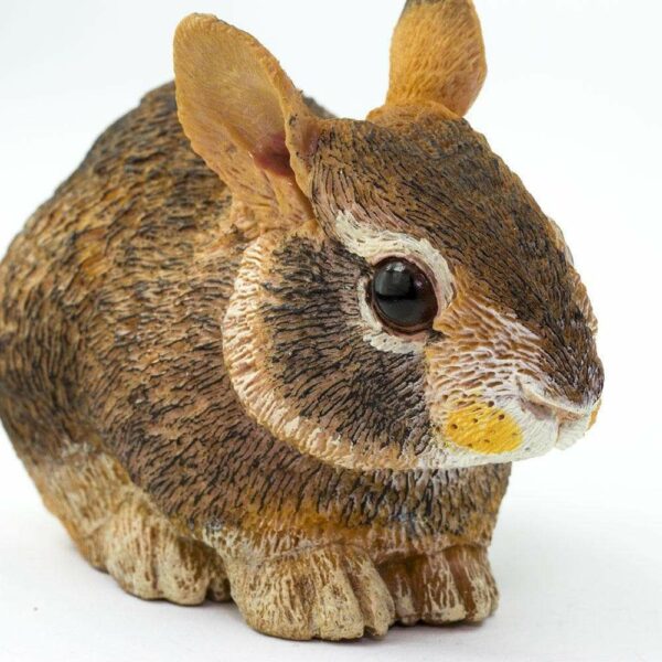 Figurina - Eastern Cottontail Rabbit Baby | Safari - imagine 2