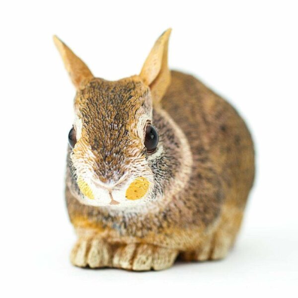 Figurina - Eastern Cottontail Rabbit Baby | Safari - imagine 6