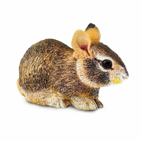 Figurina - Eastern Cottontail Rabbit Baby | Safari - imagine 5