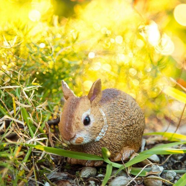 Figurina - Eastern Cottontail Rabbit Baby | Safari - imagine 4