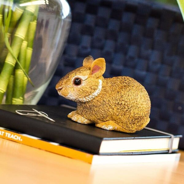 Figurina - Eastern Cottontail Rabbit Baby | Safari - imagine 3