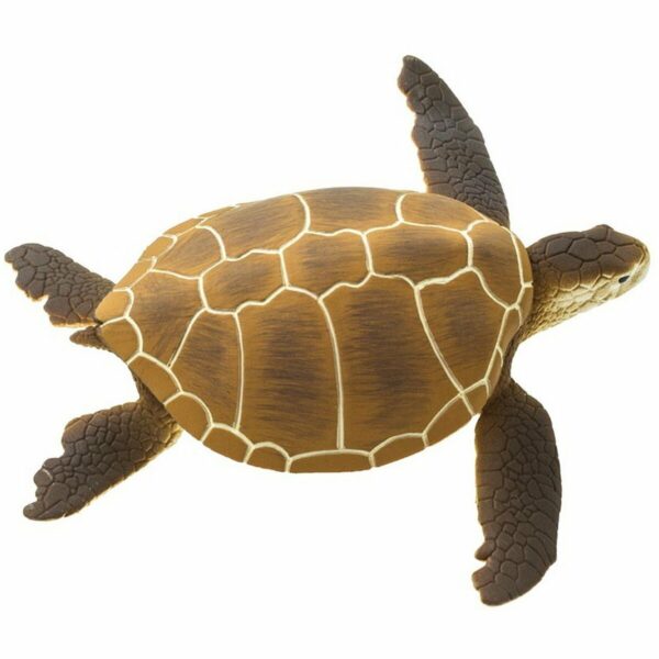 Figurina - Green Sea Turtle | Safari - imagine 4