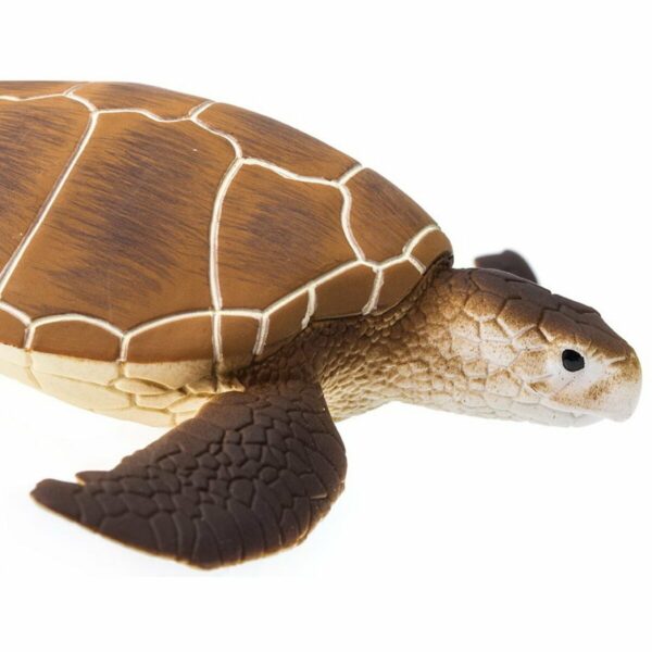 Figurina - Green Sea Turtle | Safari - imagine 2