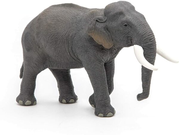 Figurina - Elefant Asiatic | Papo