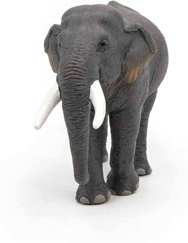 Figurina - Elefant Asiatic | Papo - imagine 6