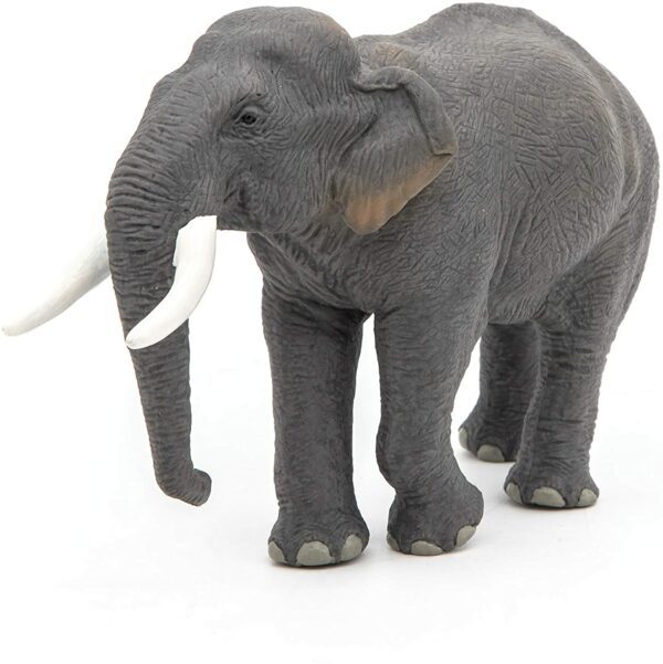 Figurina - Elefant Asiatic | Papo - imagine 2