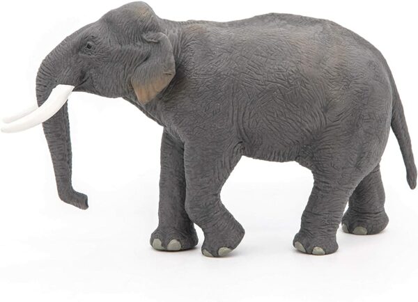 Figurina - Elefant Asiatic | Papo - imagine 4