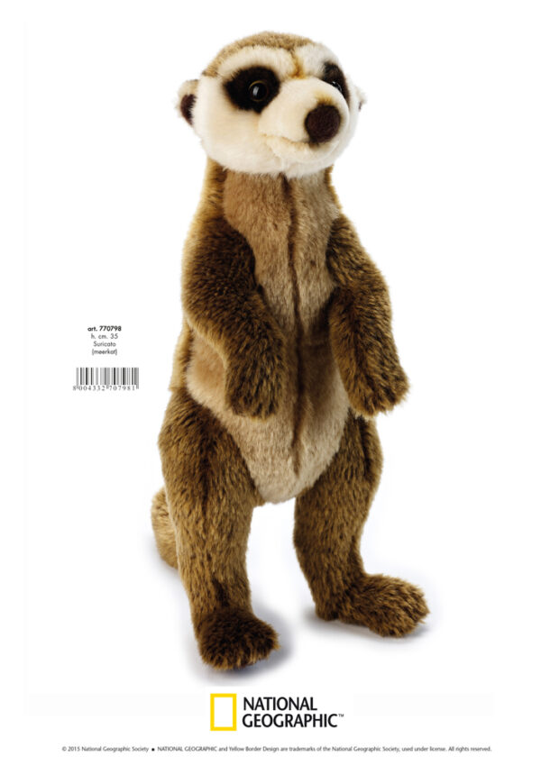 National Geographic - Animal de plus SURICATA, 35 CM