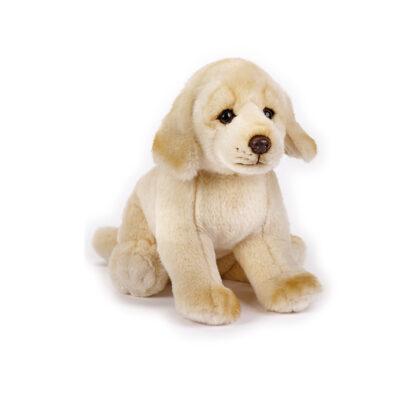 VENTURELLI Plus National Geographic GOLDEN RETRIEVER 26 cm