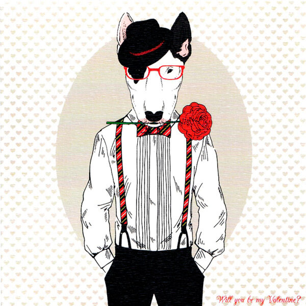 Felicitare - Pitbull | Felicis