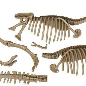 Kit excavare - Dinozaur fioros