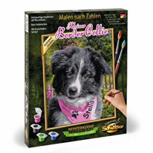 Kit pictura pe numere Schipper - Catelus Border Collie