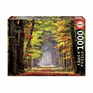 Puzzle Paseo Otonal, 1000 piese