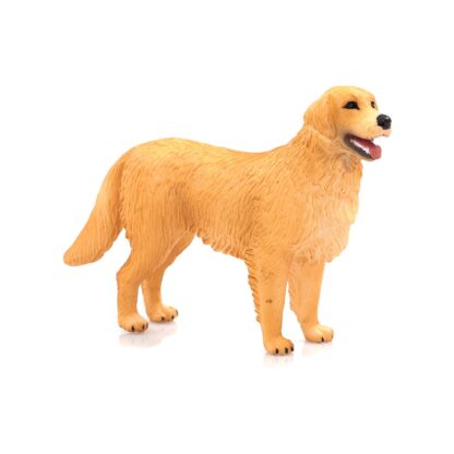 387198 golden retriever