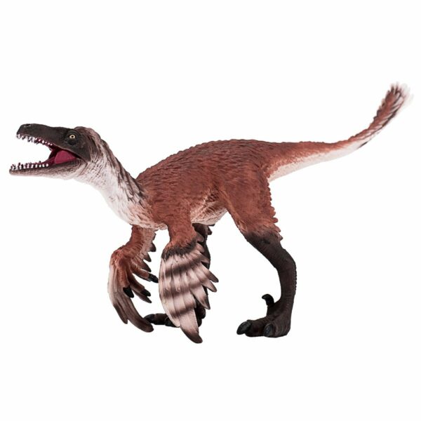 387389 troodon with articulated jaw 1