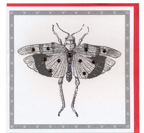 Felicitare - Bug Swarovski | Piano Card