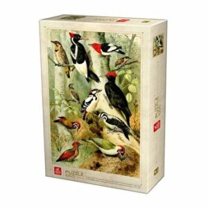 Puzzle adulti Deico Encyclopedia Puzzle - Birds, 1000 piese