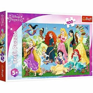 Puzzle Printesele sarmante, 100 piese