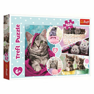 Puzzle Trefl pisici dragalase, 160 piese