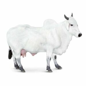 Figurina - Vaca Ongole | Safari