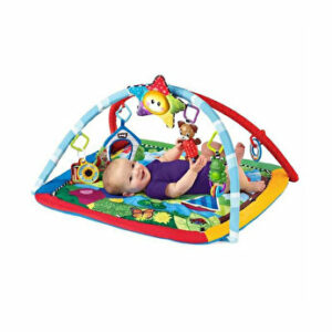 Baby Einstein - Salteluta de activitati Omida si prietenii