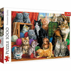 Puzzle Trefl Intalnirea pisicutelor, 1000 piese