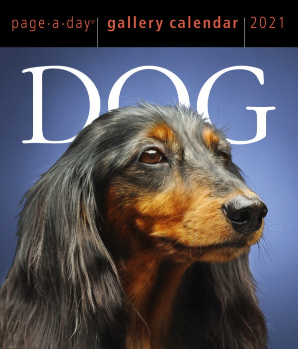 Calendar 2021 - Dog Page-A-Day Gallery | Workman Publishing