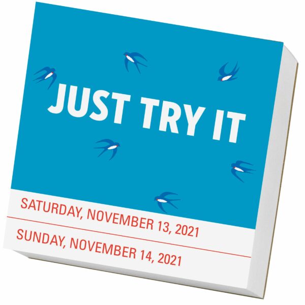 Calendar 2021 - You are Doing a Freaking Great Job Page-A-Day | Workman Publishing - imagine 10