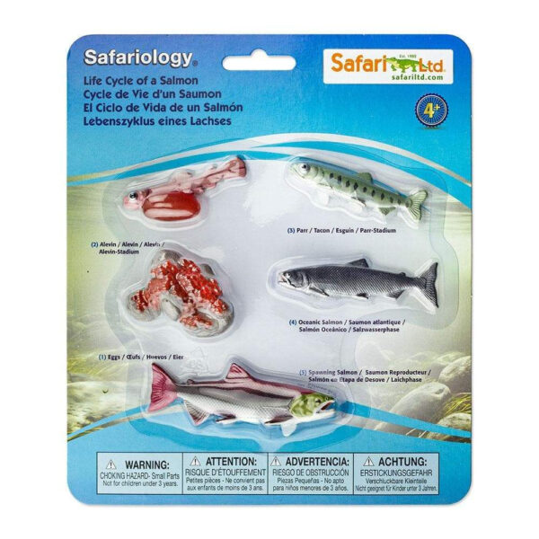 Set figurine - Ciclul vietii la Somon | Safari - imagine 3
