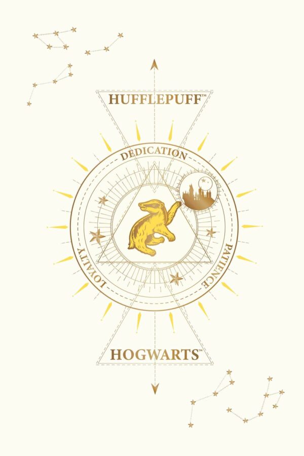 Set 20 de carti postale - Harry Potter - Hufflepuff | Insight - imagine 6