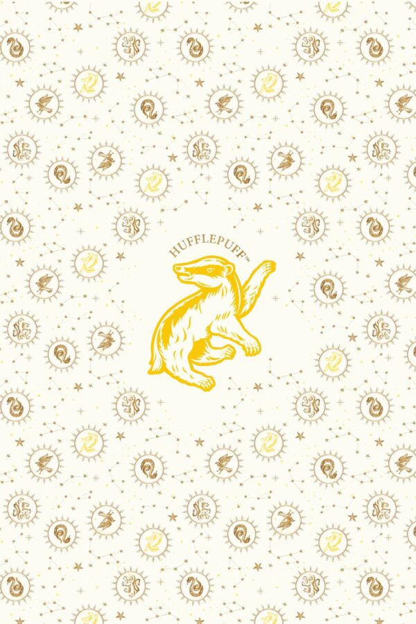 Set 20 de carti postale - Harry Potter - Hufflepuff | Insight - imagine 4