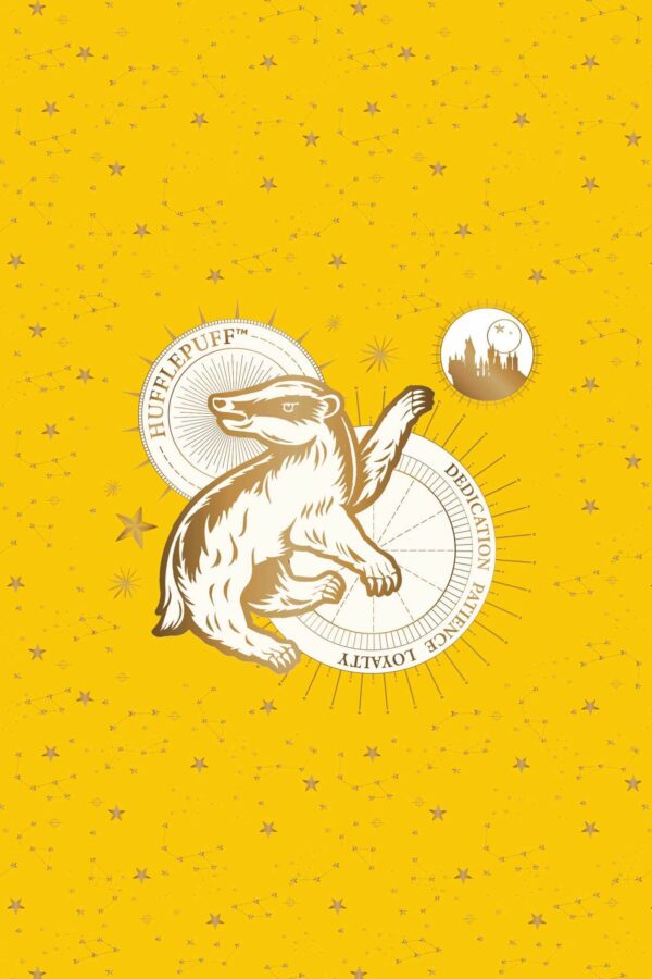 Set 20 de carti postale - Harry Potter - Hufflepuff | Insight - imagine 3