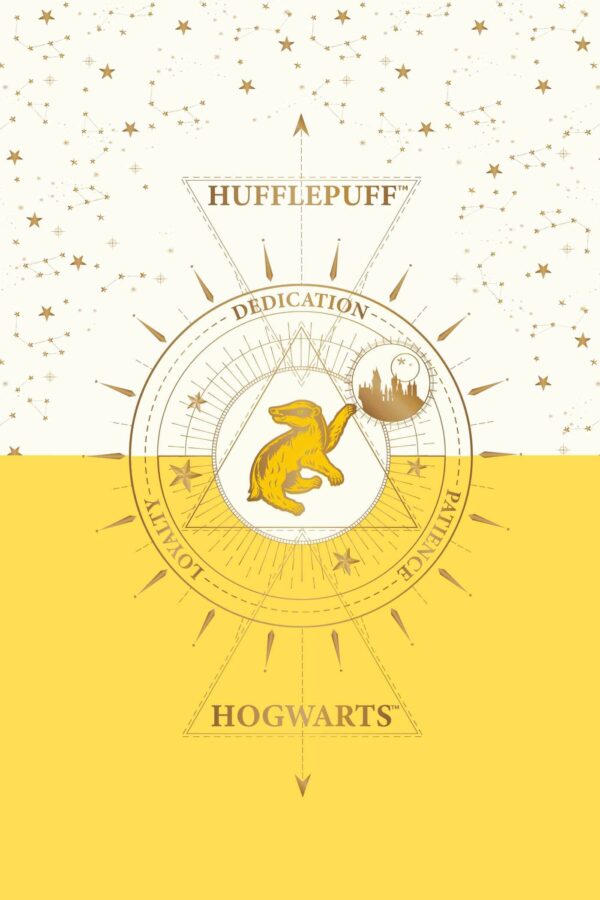 Set 20 de carti postale - Harry Potter - Hufflepuff | Insight - imagine 2