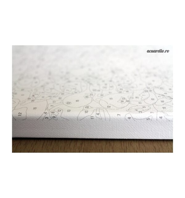 Set picturi pe numere - Winter is Here | Acuarello - imagine 3