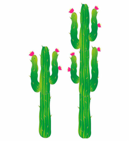 Decor cactus