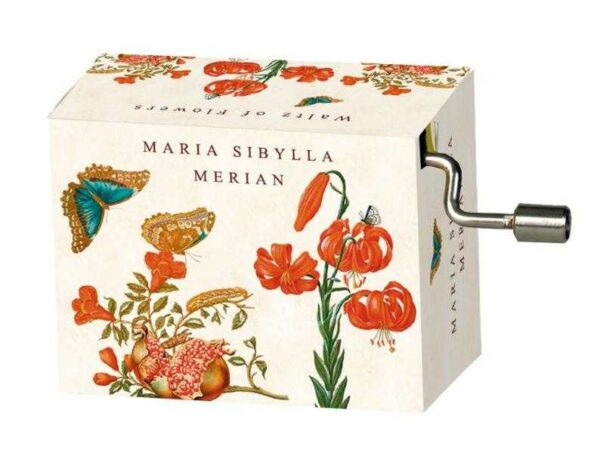 Flasneta maria sibylla merian (fluturi), tchaikovsky walts of flowers