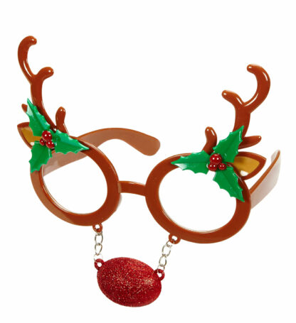 Ochelari ren rudolf