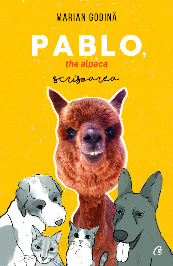 Pablo, the alpaca. scrisoarea